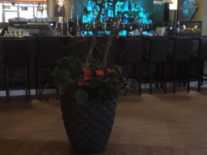 照片: Notos